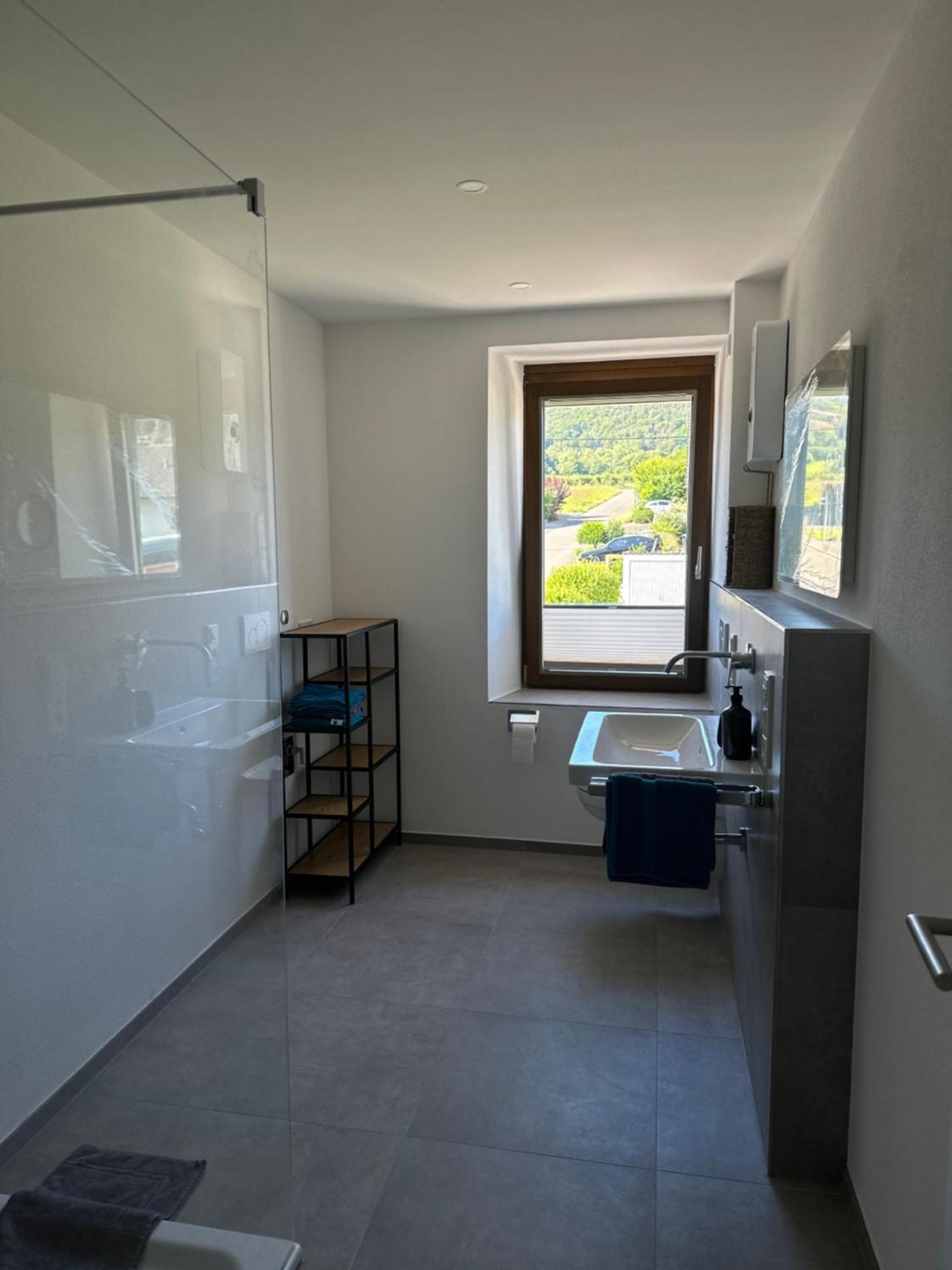 Moselappartements By Weingut Marco Adamy Lösnich Exterior foto