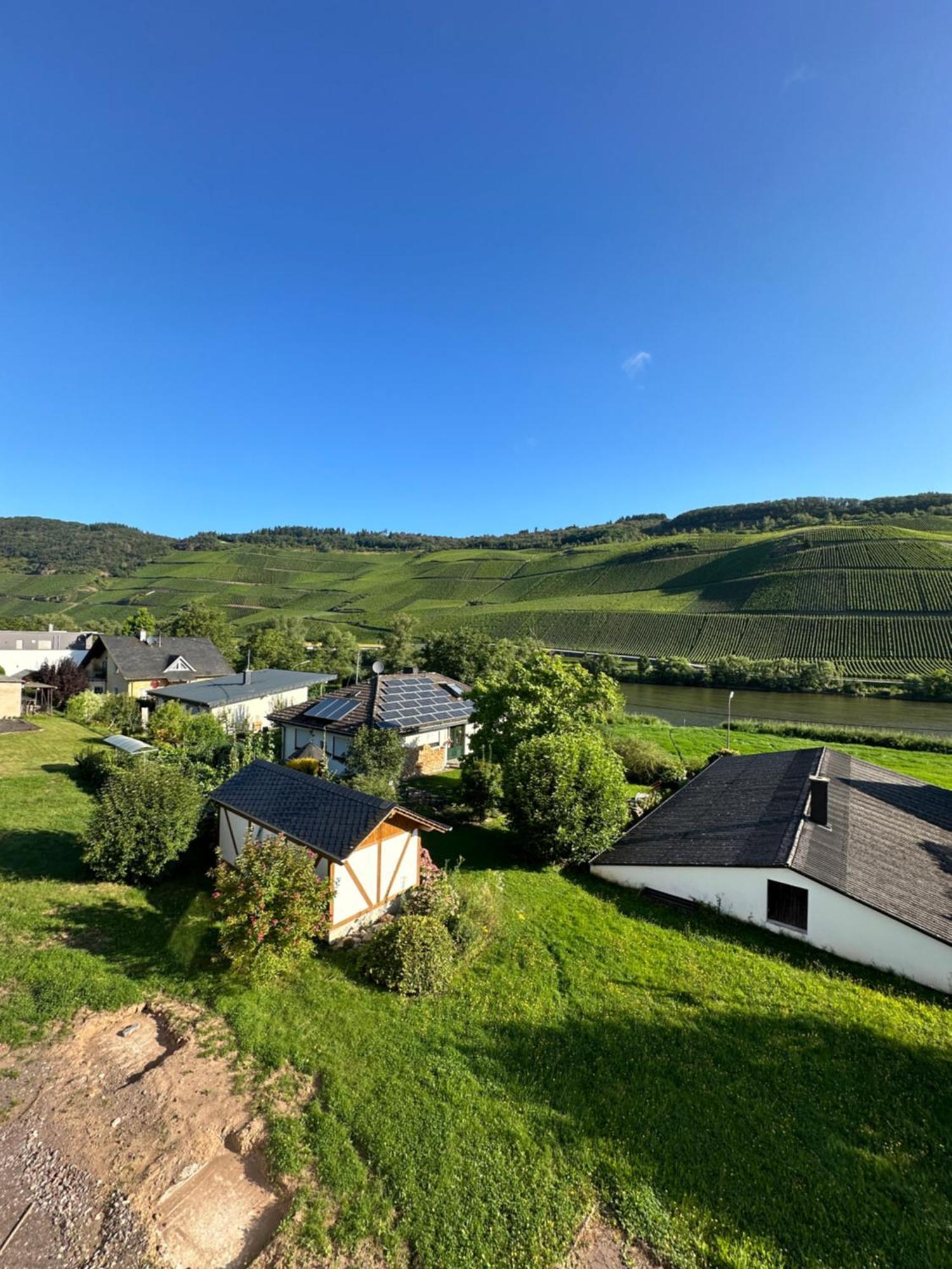 Moselappartements By Weingut Marco Adamy Lösnich Exterior foto